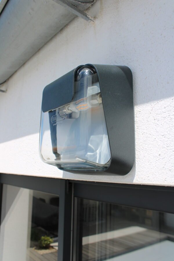 CAREX - APPLIQUE EXTERIEURE – Image 2