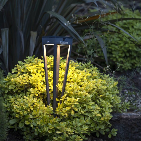 TORCHE A PLANTER - TINKA – Image 2